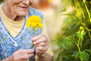 gardening, horticultural therapy, therapeutic gardening 