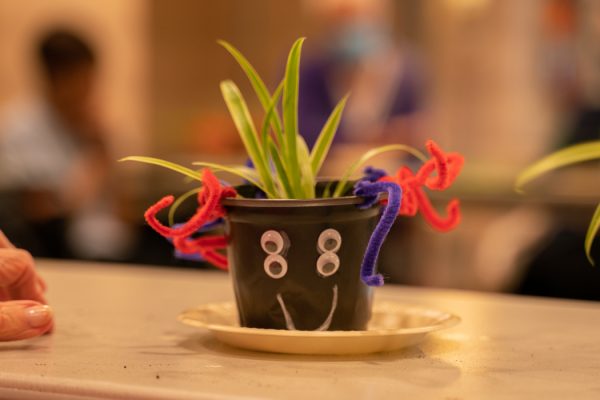 Mosaic's Golden Sunflowers Horticultural class project