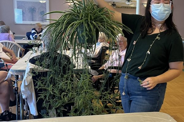 Mosaic's golden sunflowers horticultural therapy class